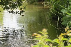 20.-Upstream-from-ROW-Bridge-No.874