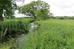 21.-Upstream-from-Bere-Mills