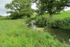 22.-Upstream-from-Bere-Mills