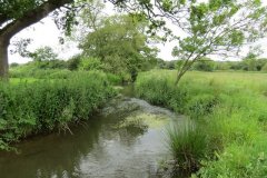 23.-Upstream-from-Bere-Mills