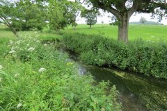 24.-Upstream-from-Bere-Mills