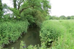 25.-Upstream-from-Bere-Mills