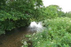 26.-Upstream-from-Bere-Mills
