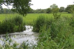 29.-Mill-Stream-and-River-Isle-confluence