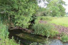 30.-Upstream-from-Chard-Sewerage-Works