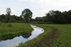 33.-Upstream-from-Chard-Sewerage-Works