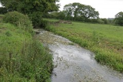 34.-Upstream-from-Chard-Sewerage-Works