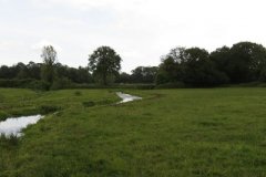 37.-Upstream-from-Chard-Sewerage-Works