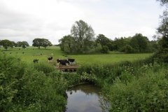 42.-Manor-Farm-Accommodation-Bridge