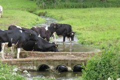 43.-Manor-Farm-Accommodation-Bridge