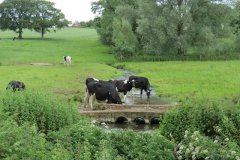 44.-Manor-Farm-Accommodation-Bridge