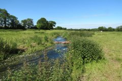 48.-Downstream-from-A358-culvert