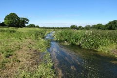 49.-Downstream-from-A358-culvert