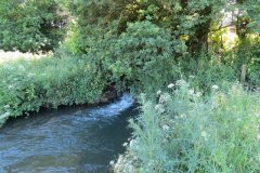 50.-Downstream-from-A358-culvert