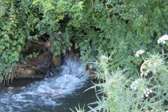51.-Downstream-from-A358-culvert