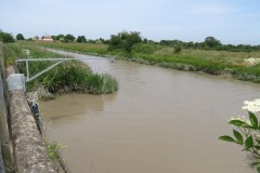 11.-Northmoor-main-drain-joins-the-River-Parrett