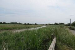 12.-Downstream-from-Northmoor-Pumping-Station-1