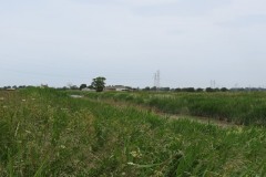 12.-Downstream-from-Northmoor-Pumping-Station-4