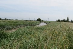 13.-Flowing-through-Haymoor-11