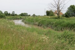 13.-Flowing-through-Haymoor-2