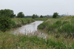 13.-Flowing-through-Haymoor-4