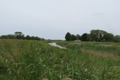 13.-Flowing-through-Haymoor-7