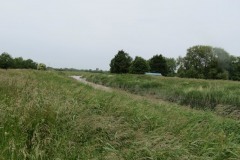 13.-Flowing-through-Haymoor-8
