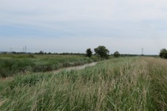 13.-Flowing-through-Haymoor-9