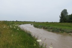 14.-Upstream-from-Huntworth-Viaduct-1