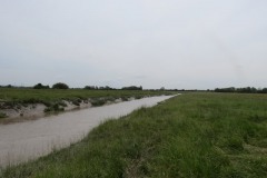 14.-Upstream-from-Huntworth-Viaduct-10