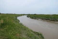 14.-Upstream-from-Huntworth-Viaduct-4