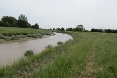 14.-Upstream-from-Huntworth-Viaduct-5