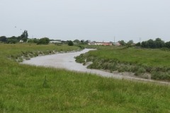 14.-Upstream-from-Huntworth-Viaduct-7
