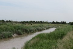 15.-Upstream-from-Huntworth-Viaduct