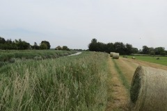 15a.-Upstream-from-Huntworth-Viaduct