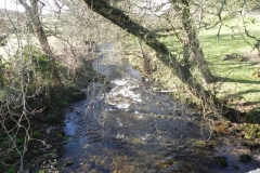 12. Looking upstream from Oare Bridge