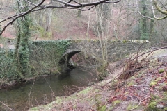 5. Looking downstream from Oareford Farm Bridge