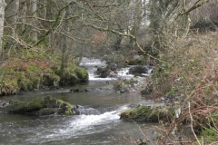 6. Downstream from Oareford Farm