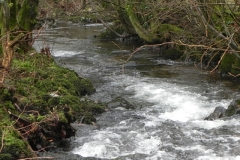7. Downstream from Oareford Farm