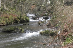 8. Downstream from Oareford Farm