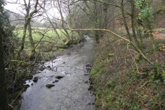 9. Looking upstream from Rawcombe Farm Bridge