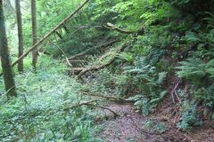 1.-Saw-Mill-leat-10