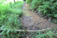 1.-Saw-Mill-leat-11