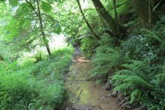 1.-Saw-Mill-leat-12