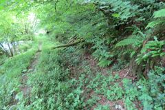1.-Saw-Mill-leat-14