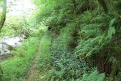 1.-Saw-Mill-leat-15
