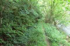 1.-Saw-Mill-leat-16
