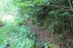 1.-Saw-Mill-leat-17