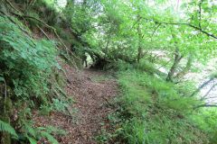 1.-Saw-Mill-leat-19