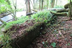 1.-Saw-Mill-leat-20